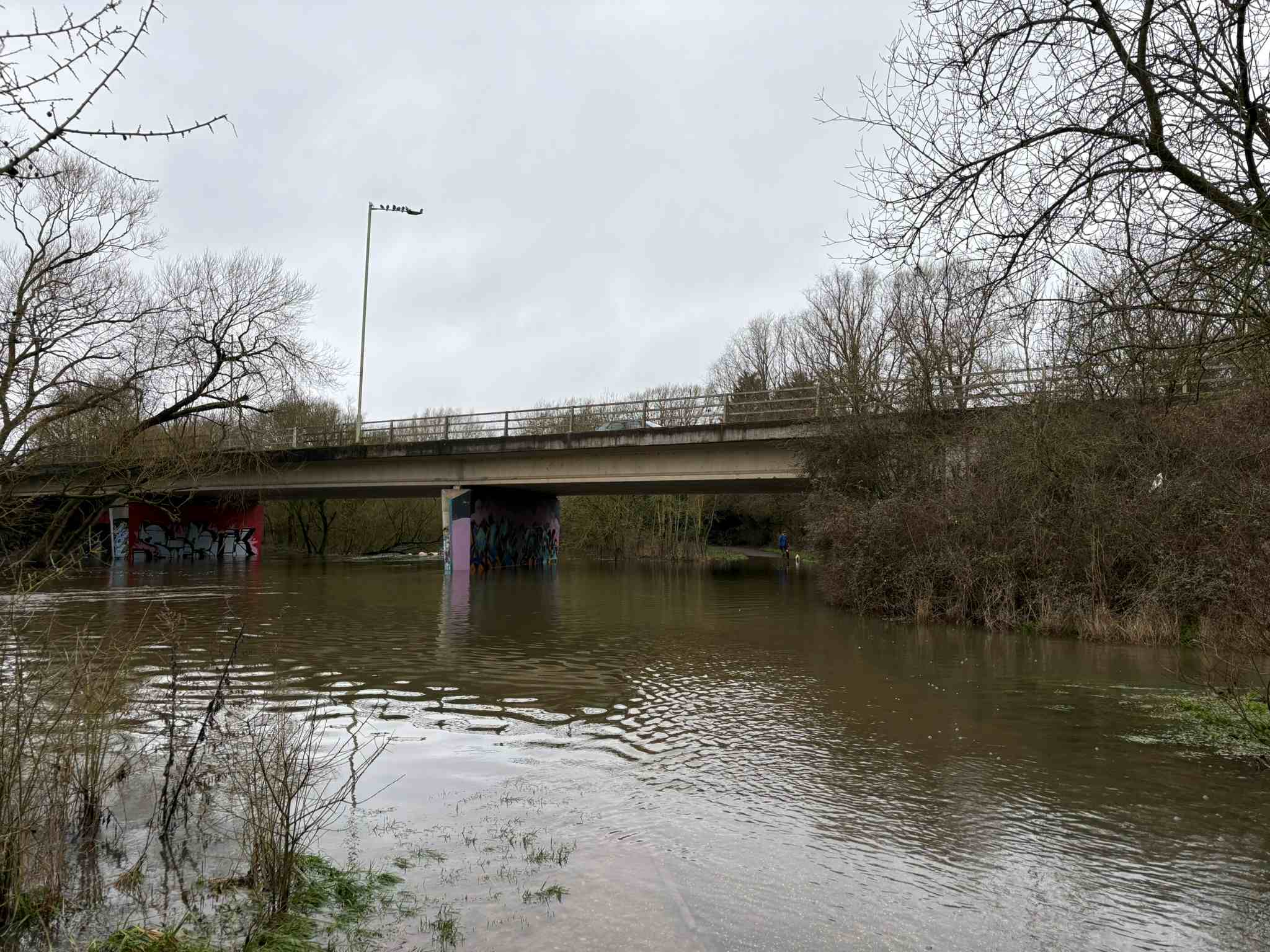  A view across the River Loddon from underneath the bridge